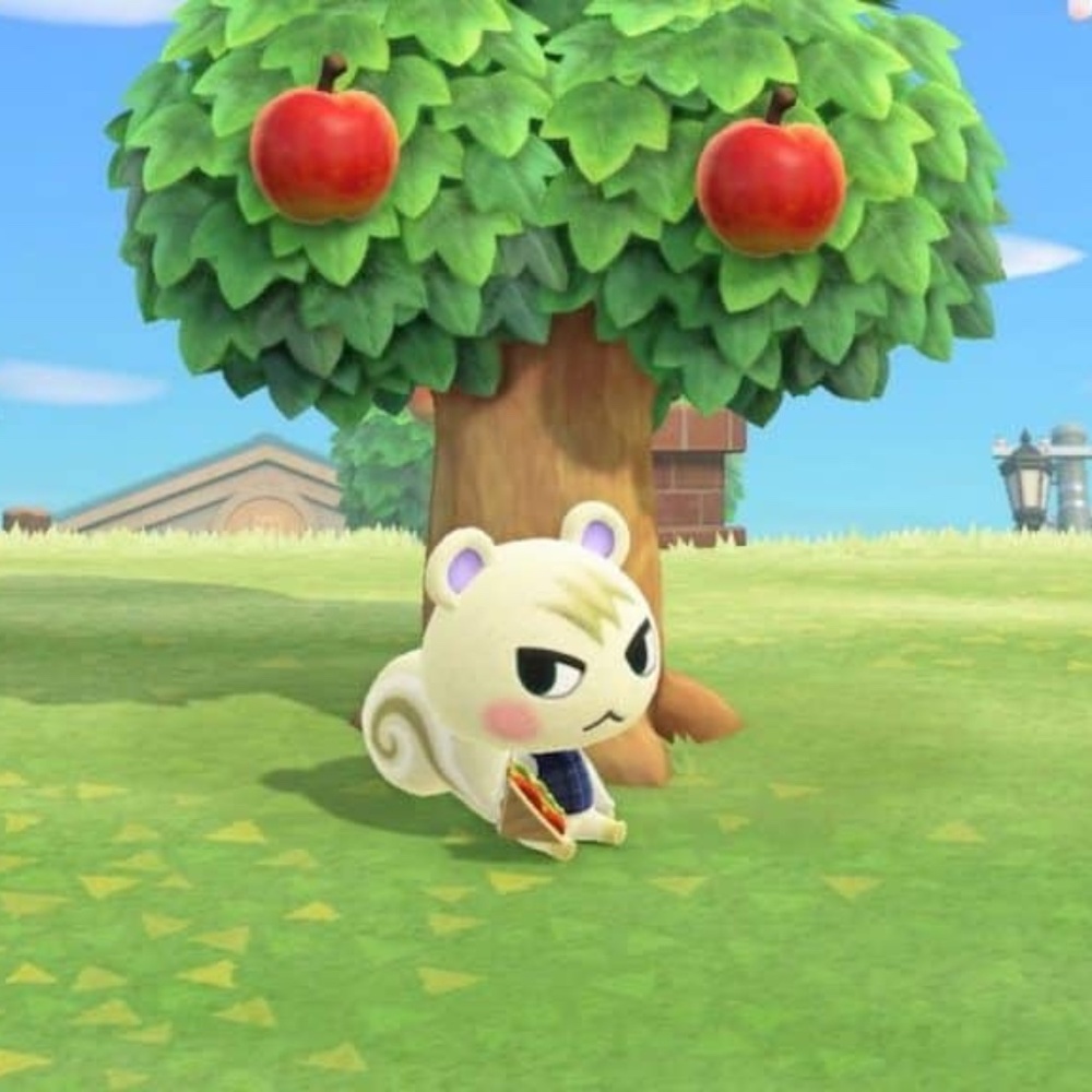 Meet your Posher, Hibiscus